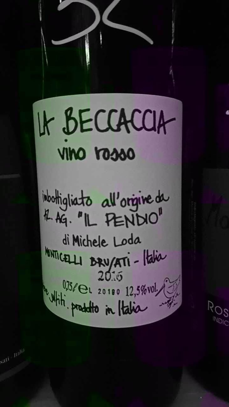 La Beccaccia - Il Pendio - Michele Loda -2014