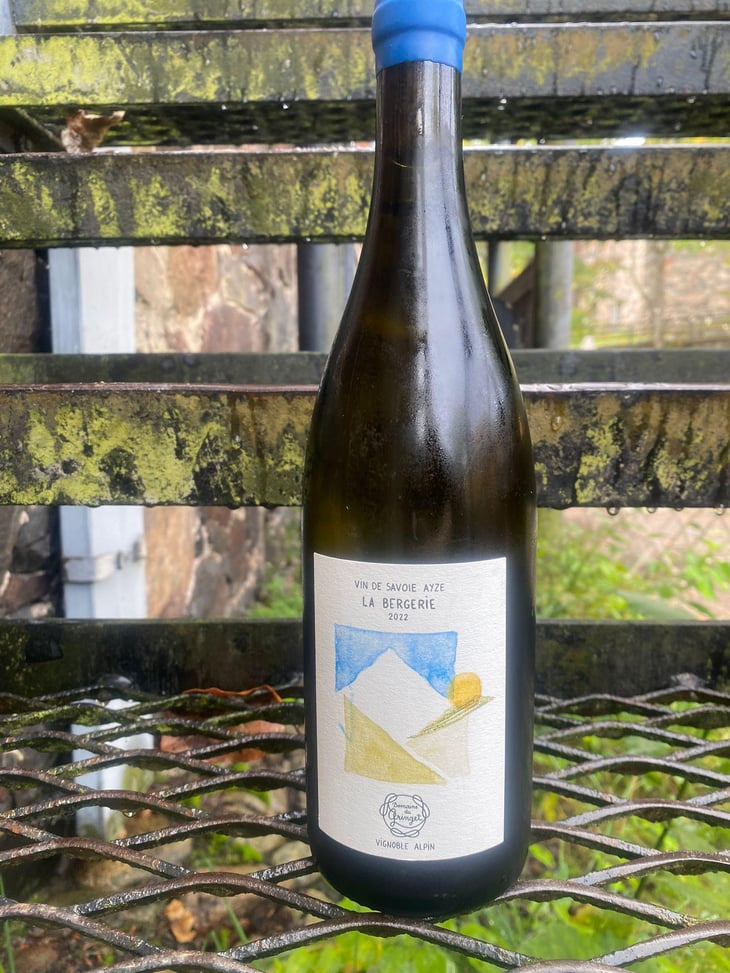 La Bergerie - Domaine du Gringet - Vincent Ruiz & Franck Balthazar 