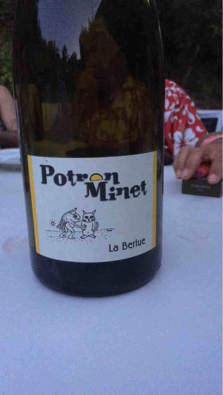 La Berlue - Potron Minet - Jean-Sébastien Gioan 