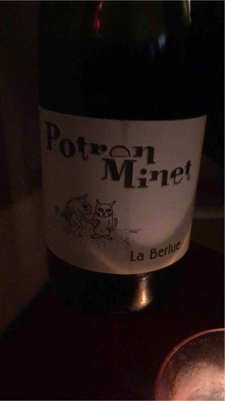 La Berlue - Potron Minet - Jean-Sébastien Gioan 