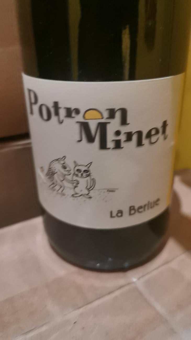 La Berlue - Potron Minet - Jean-Sébastien Gioan 