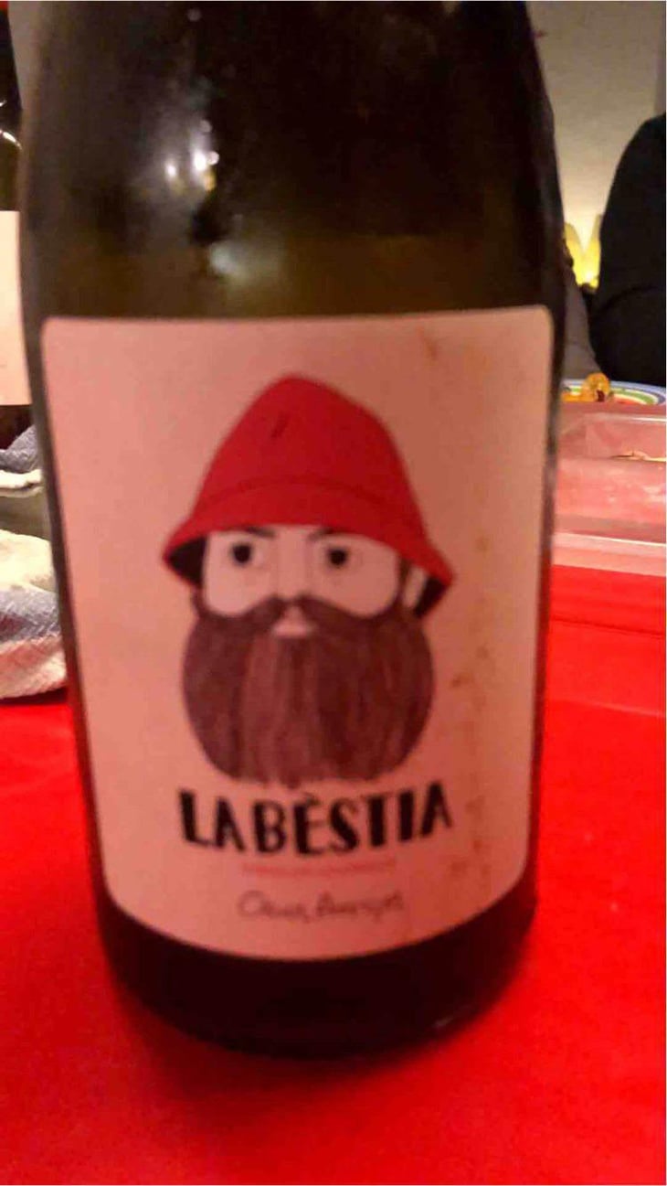 La Bestia - Mas Pellisser - Oriol Artigas 