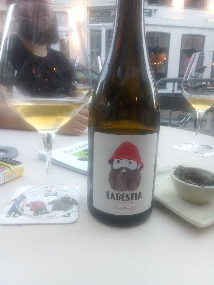 La Bestia - Mas Pellisser - Oriol Artigas 