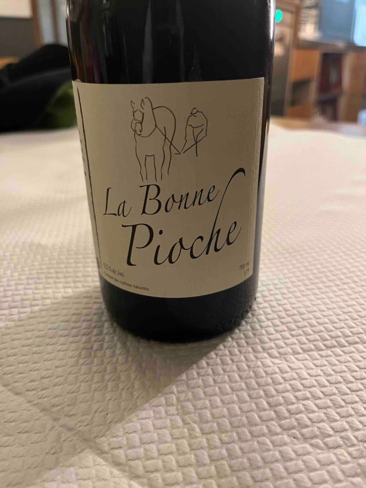 La Bonne Pioche - Michel Guignier - Michel Guignier 