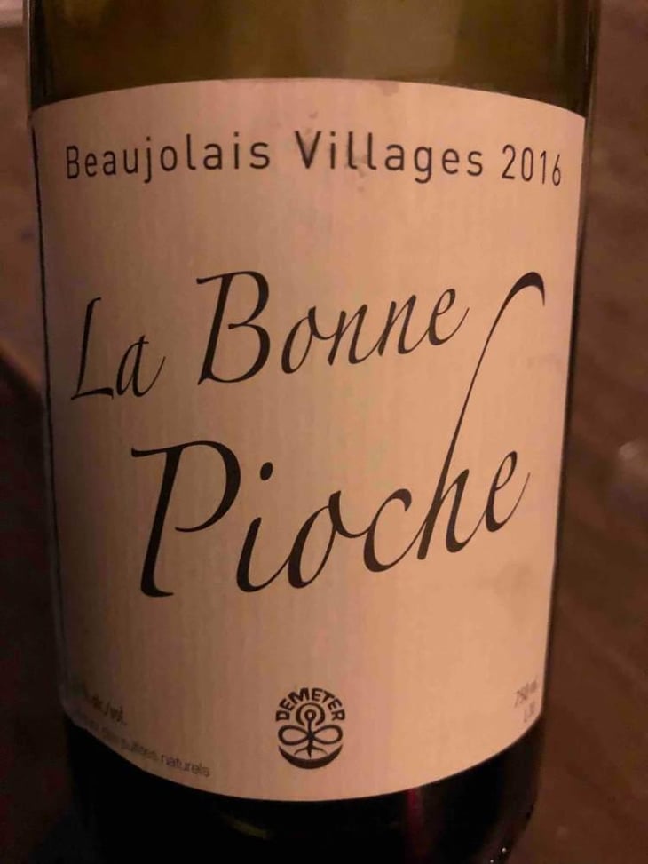 La Bonne Pioche - Michel Guignier - Michel Guignier 
