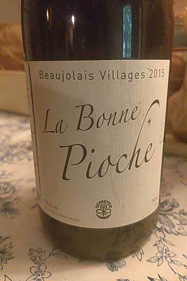La Bonne Pioche - Michel Guignier - Michel Guignier 