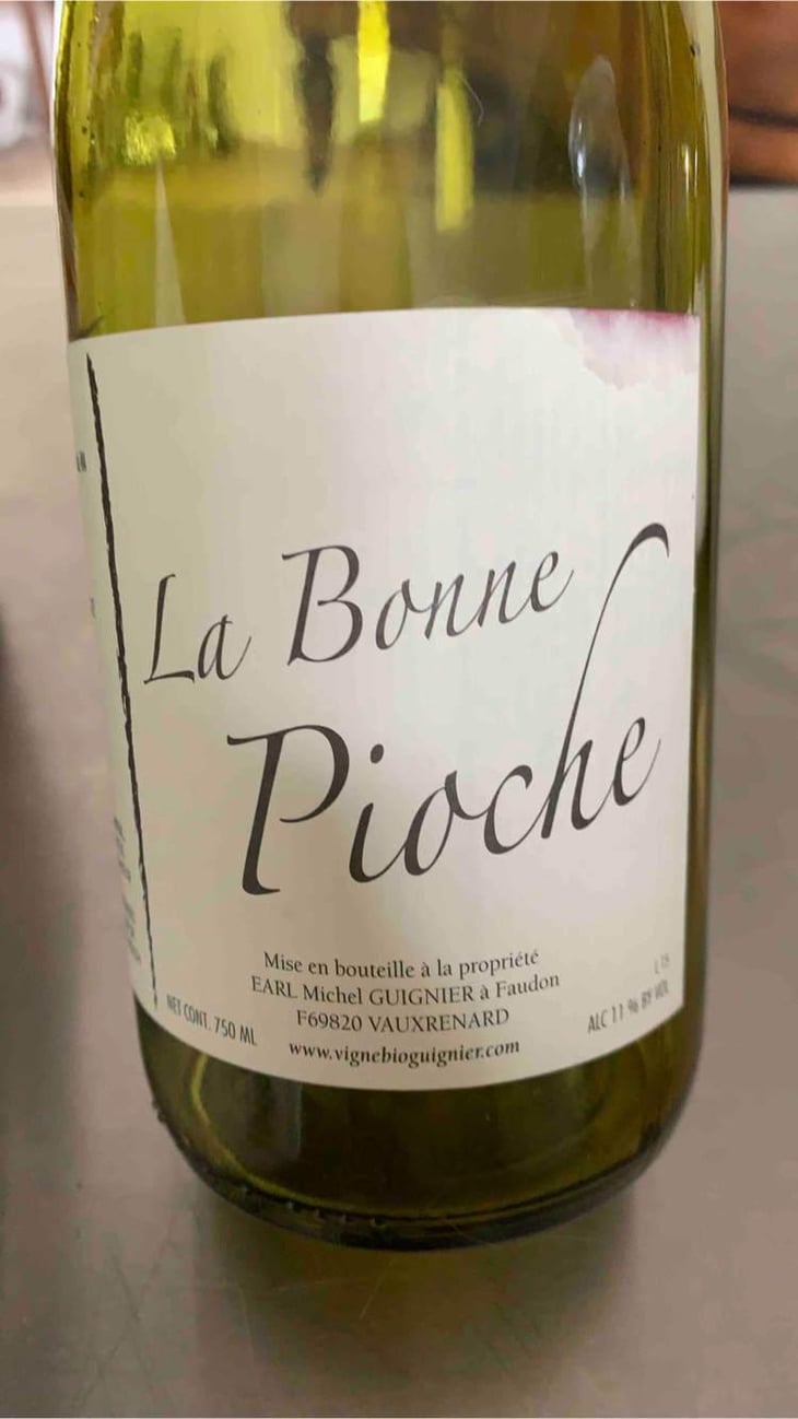 La Bonne Pioche - Michel Guignier - Michel Guignier 