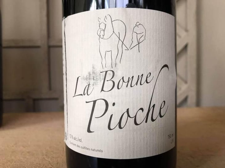 La Bonne Pioche - Michel Guignier - Michel Guignier 