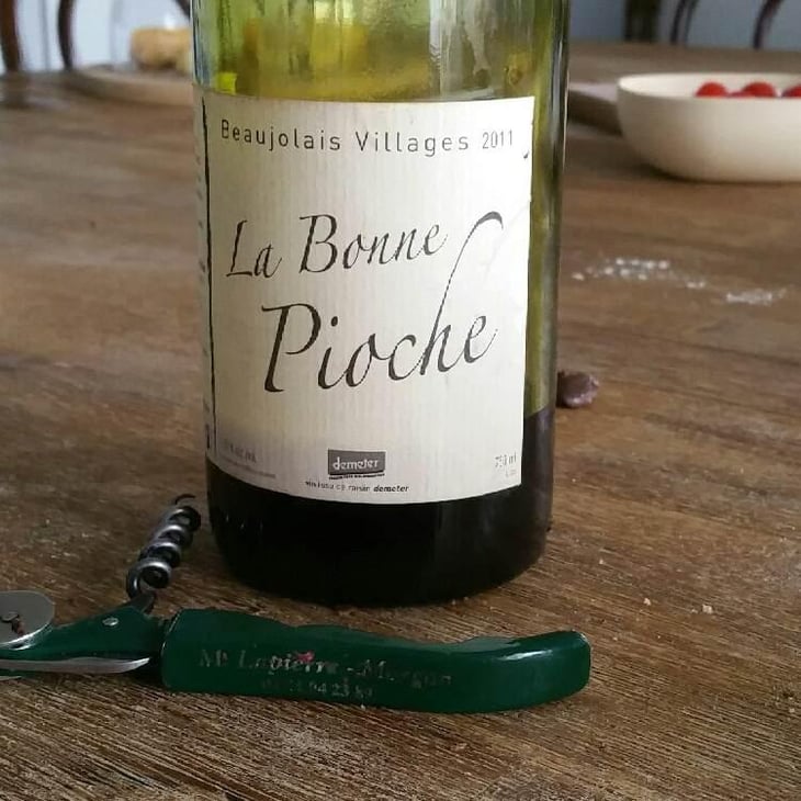 La Bonne Pioche - Michel Guignier - Michel Guignier 