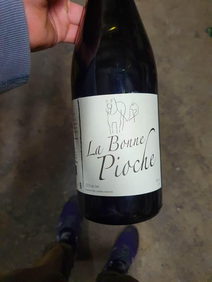 La Bonne Pioche - Michel Guignier - Michel Guignier 