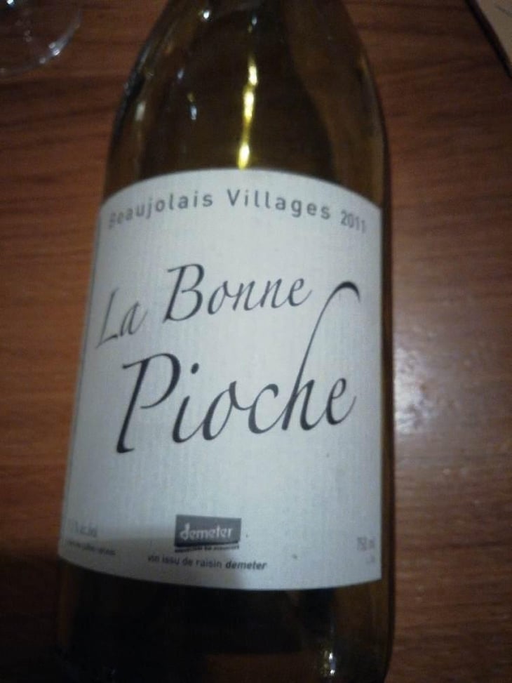 La Bonne Pioche - Michel Guignier - Michel Guignier 