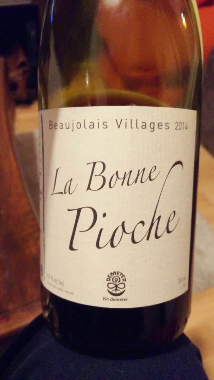 La Bonne Pioche - Michel Guignier - Michel Guignier 