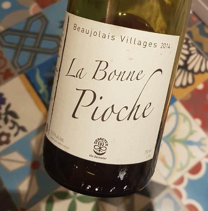 La Bonne Pioche - Michel Guignier - Michel Guignier 