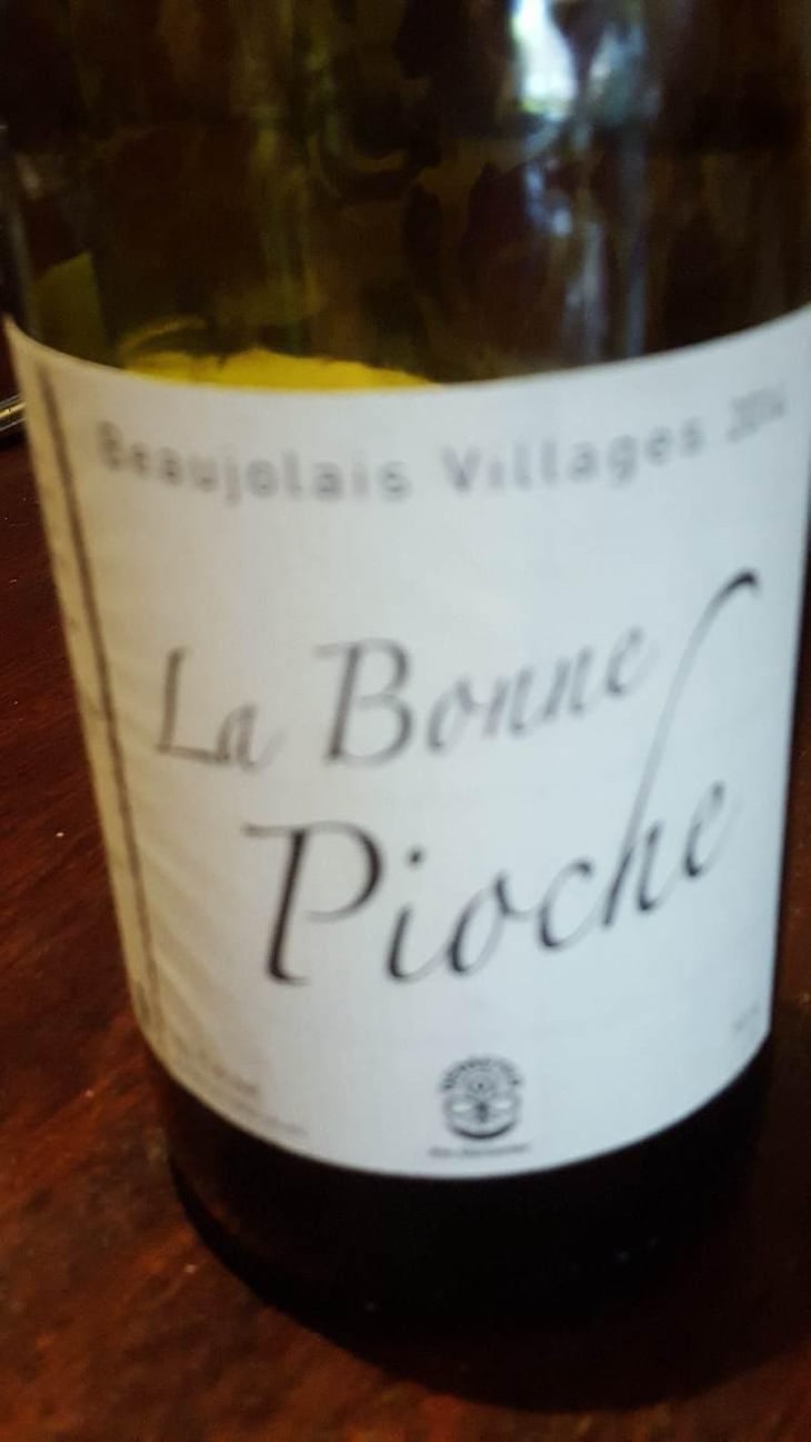 La Bonne Pioche - Michel Guignier - Michel Guignier 