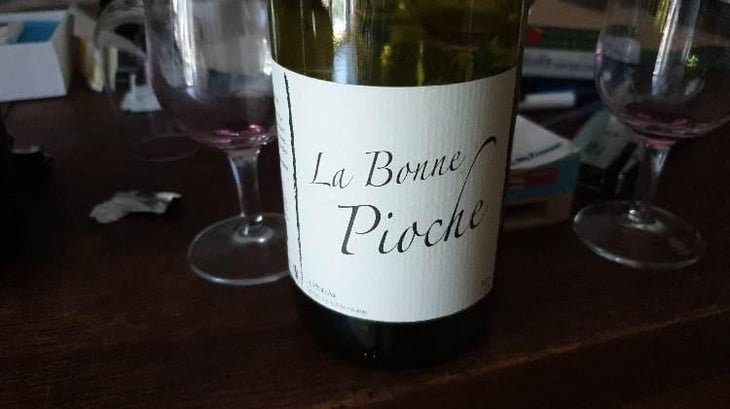 La Bonne Pioche - Michel Guignier - Michel Guignier 