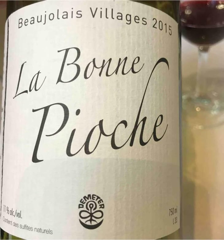 La Bonne Pioche - Michel Guignier - Michel Guignier 