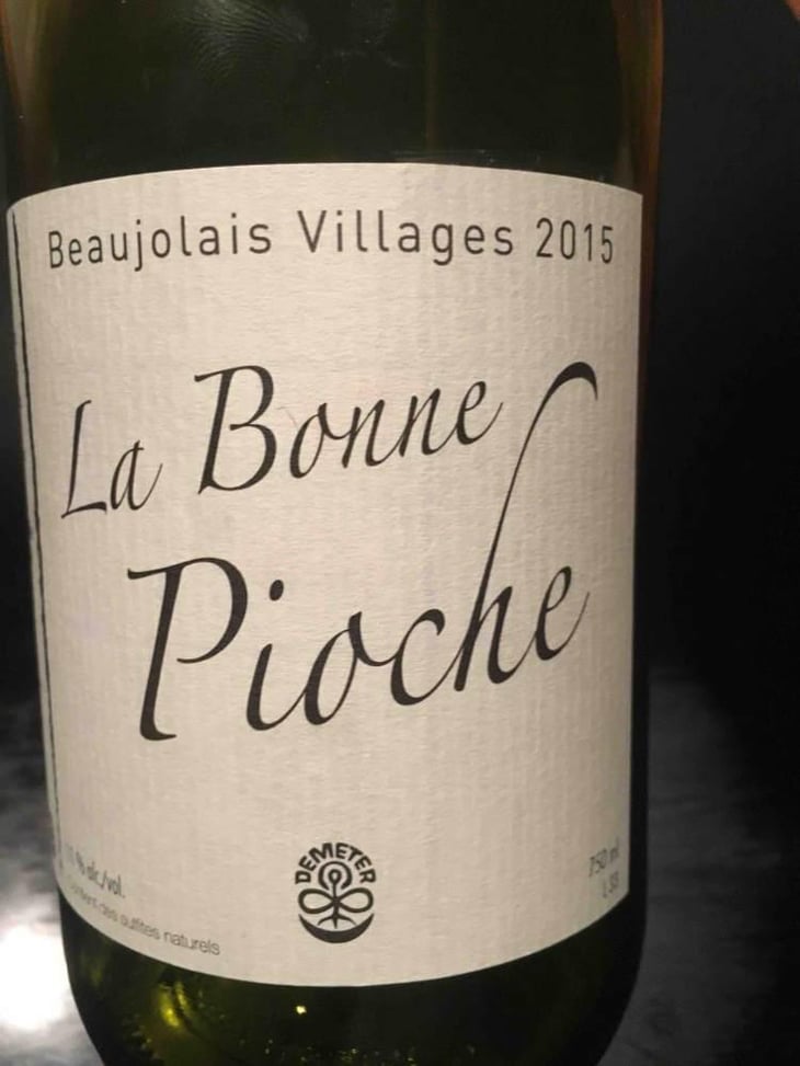 La Bonne Pioche - Michel Guignier - Michel Guignier 