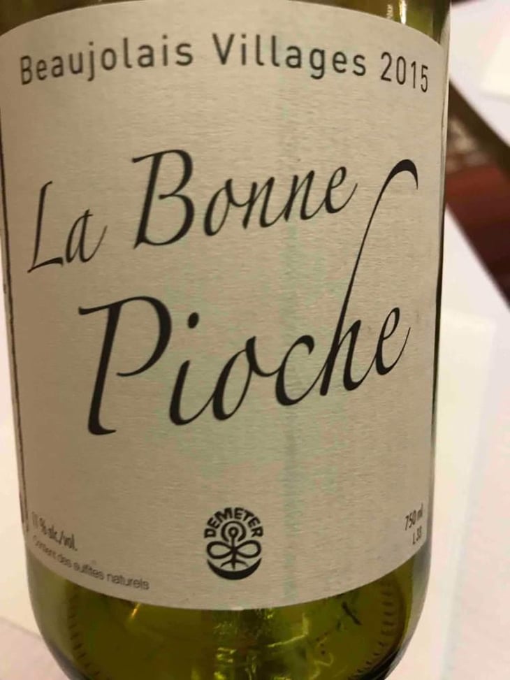 La Bonne Pioche - Michel Guignier - Michel Guignier 