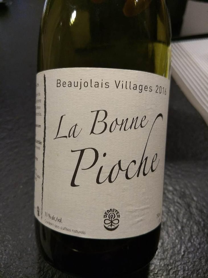 La Bonne Pioche - Michel Guignier - Michel Guignier 