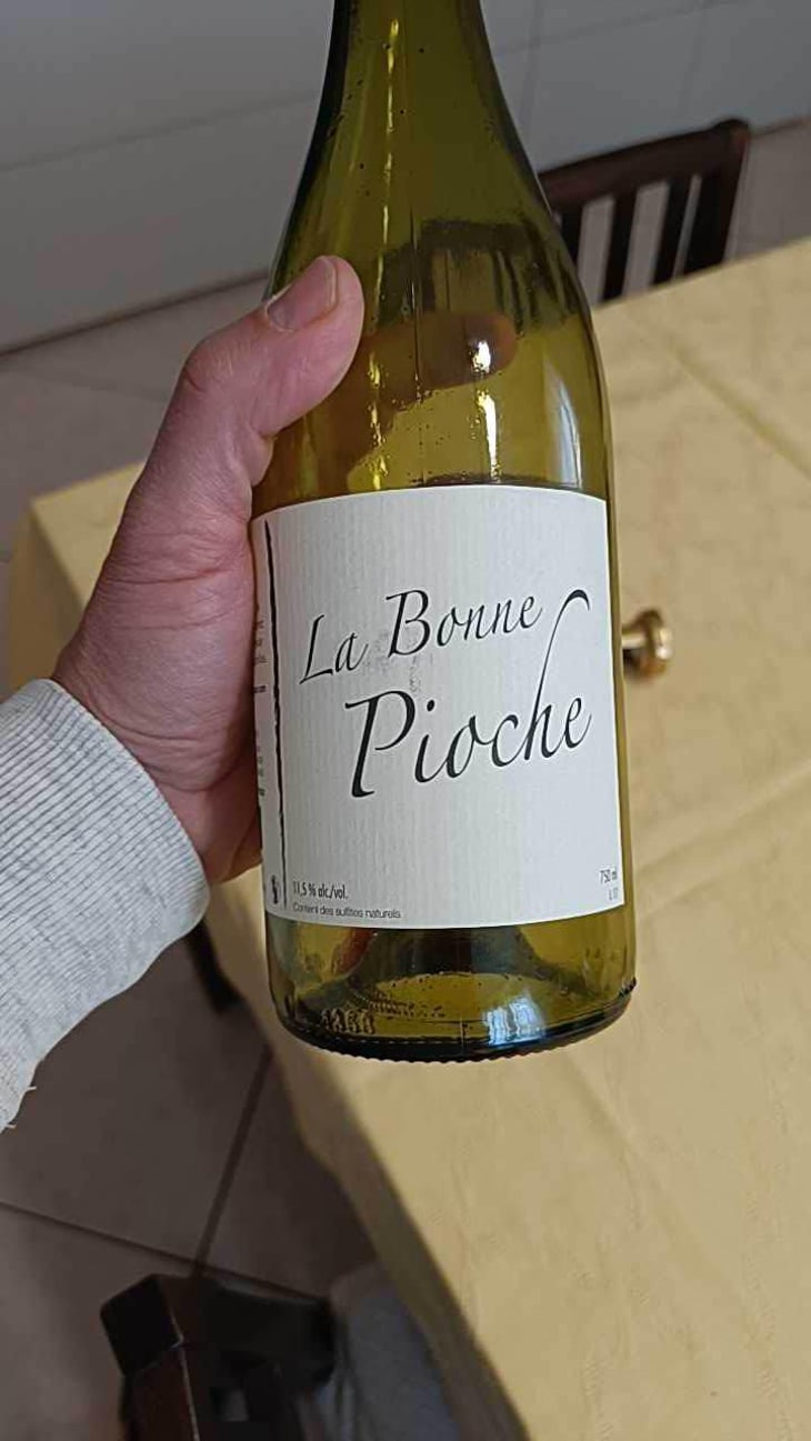 La Bonne Pioche - Michel Guignier - Michel Guignier 