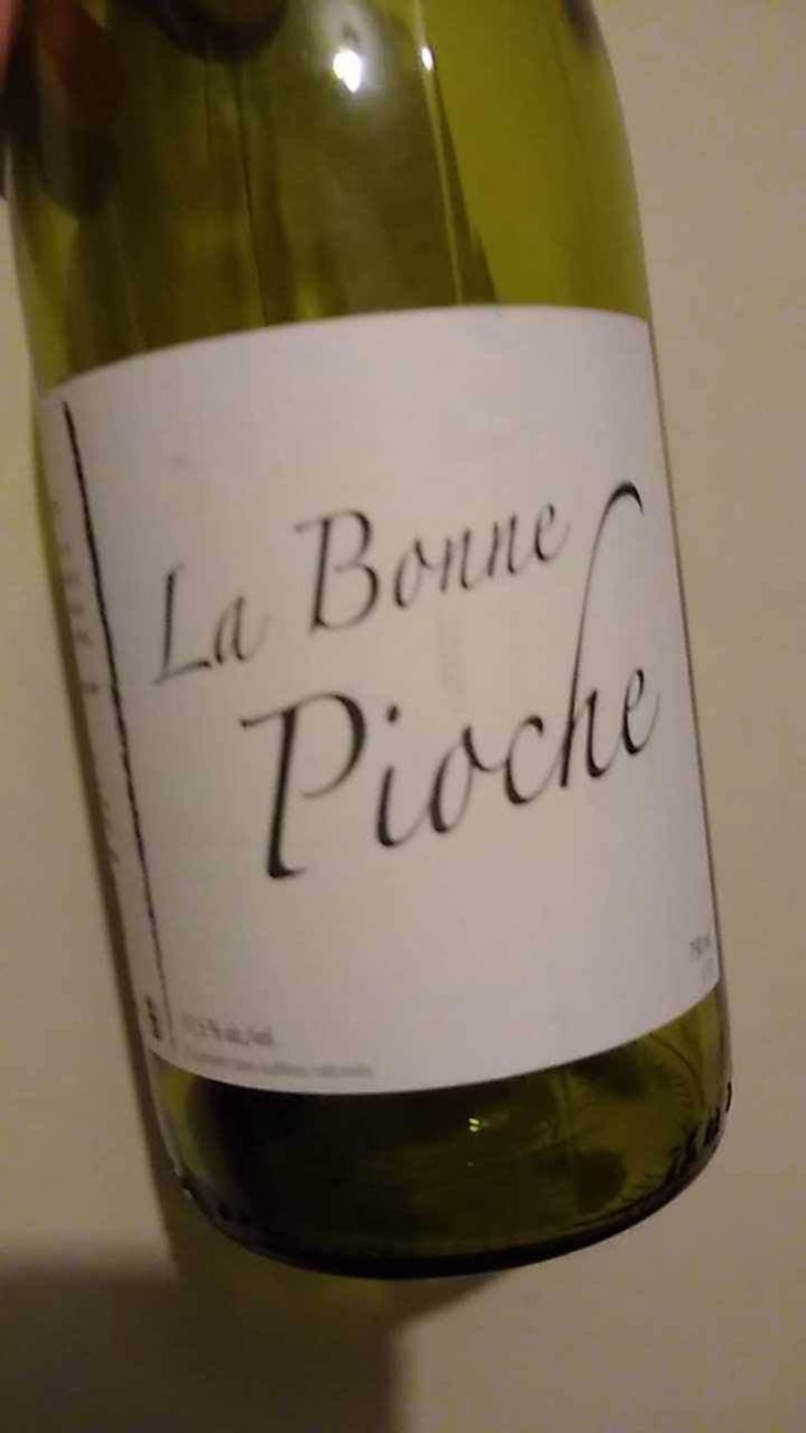 La Bonne Pioche - Michel Guignier - Michel Guignier 