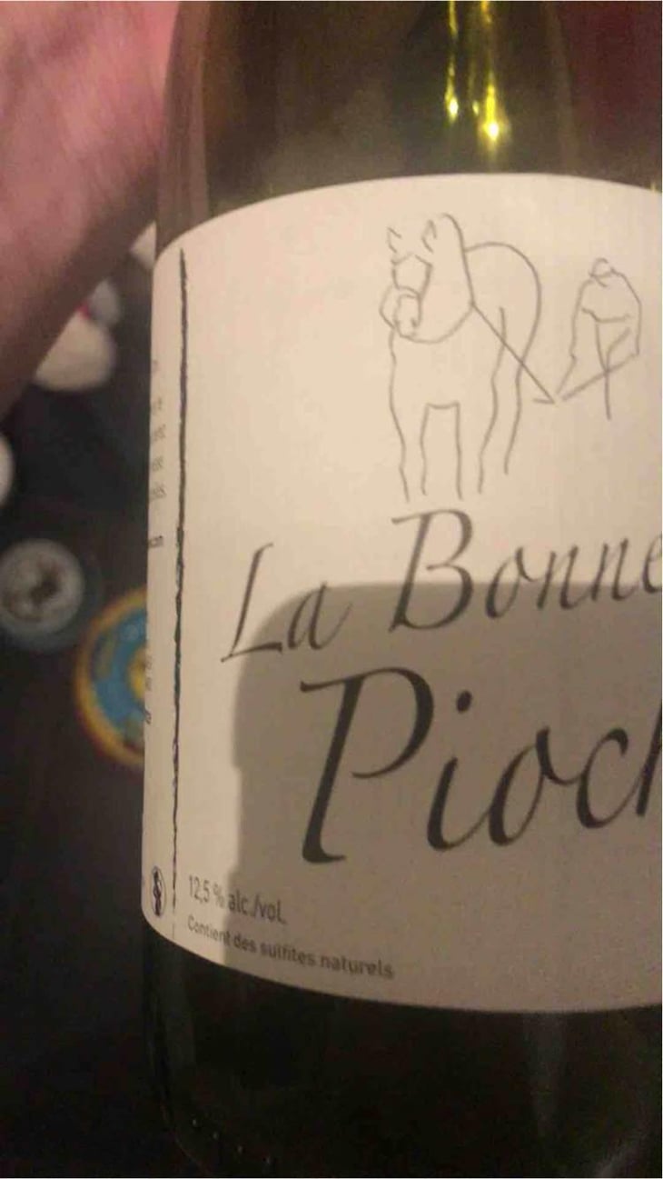 La Bonne Pioche - Michel Guignier - Michel Guignier 