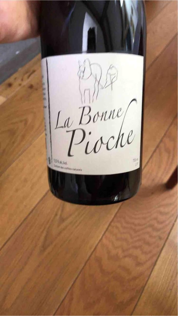 La Bonne Pioche - Michel Guignier - Michel Guignier 
