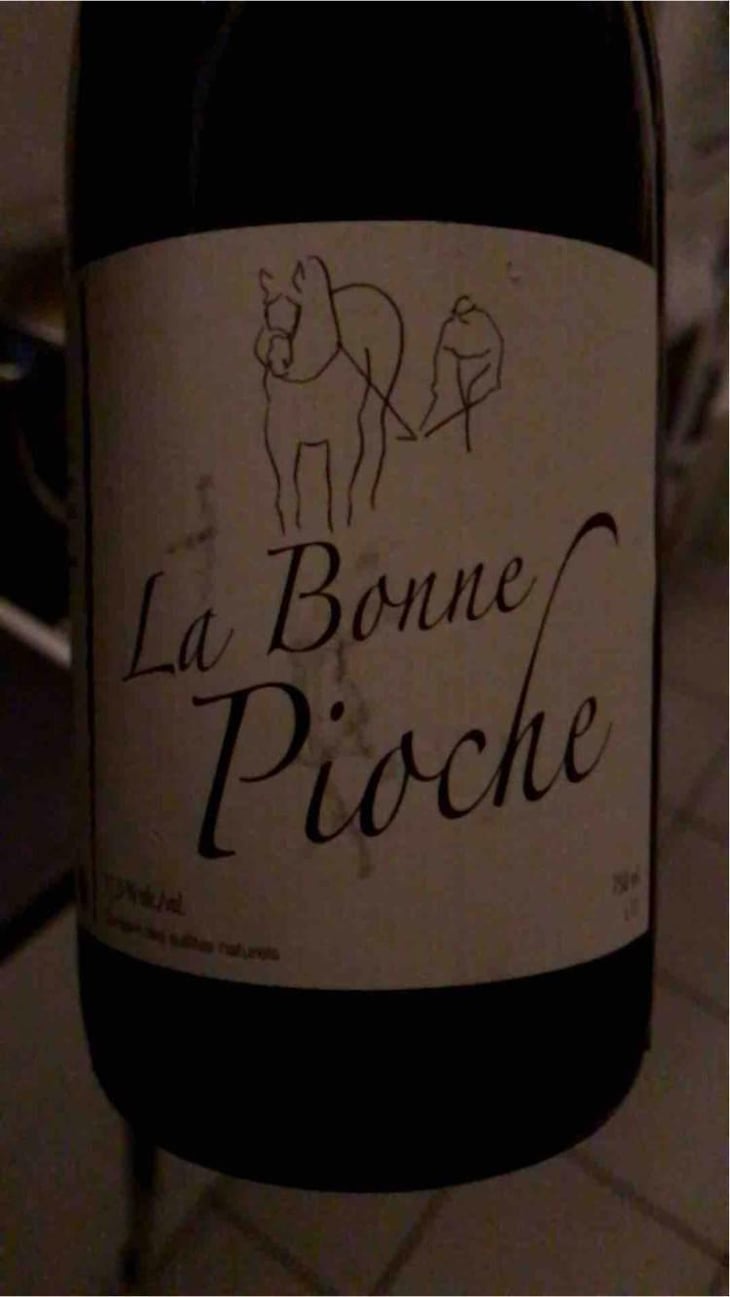La Bonne Pioche - Michel Guignier - Michel Guignier 