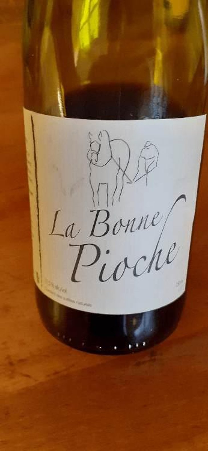 La Bonne Pioche - Michel Guignier - Michel Guignier 