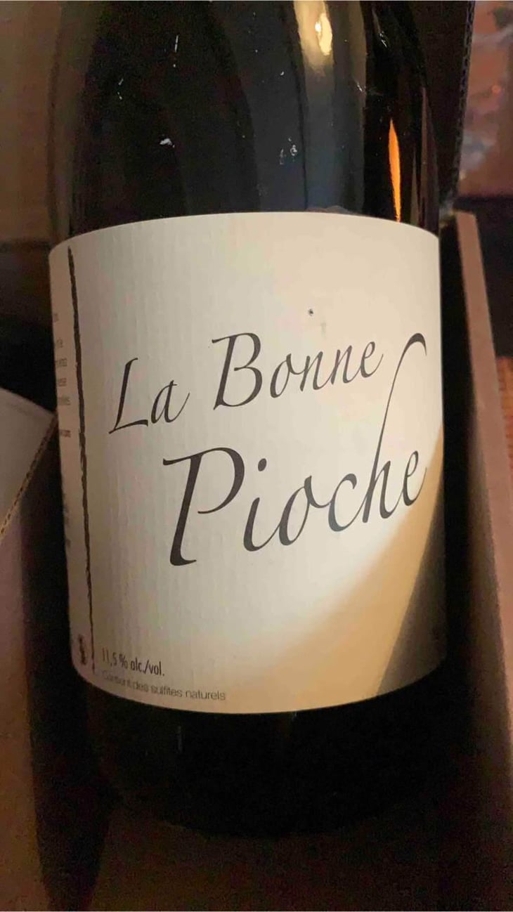 La Bonne Pioche - Michel Guignier - Michel Guignier 
