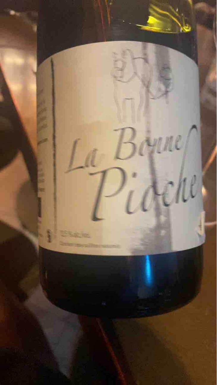 La Bonne Pioche - Michel Guignier - Michel Guignier 