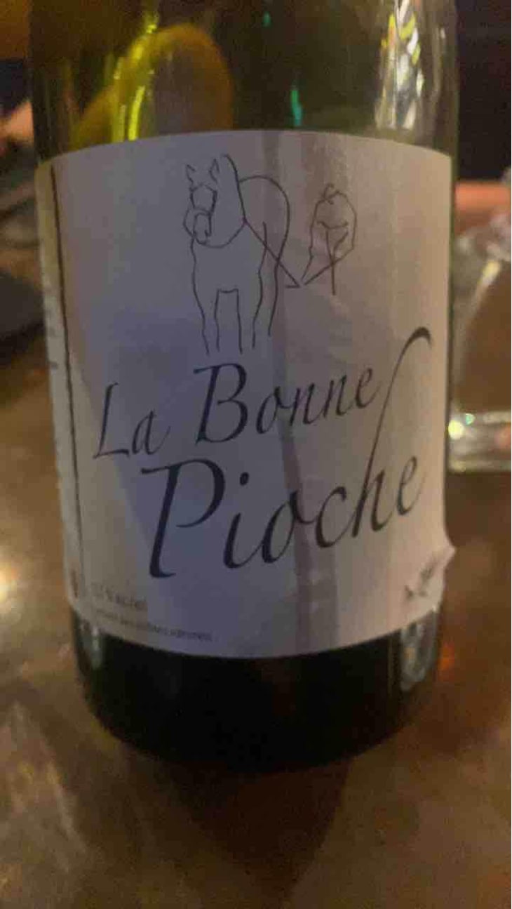 La Bonne Pioche - Michel Guignier - Michel Guignier 