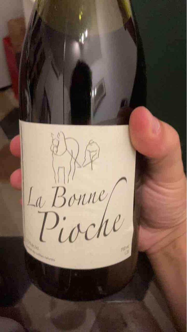 La Bonne Pioche - Michel Guignier - Michel Guignier 