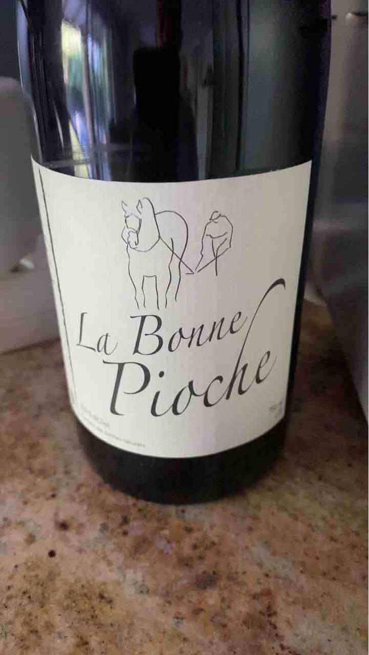 La Bonne Pioche - Michel Guignier - Michel Guignier 