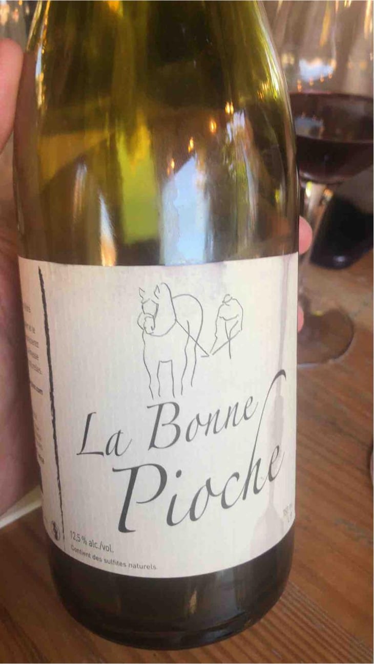 La Bonne Pioche - Michel Guignier - Michel Guignier 