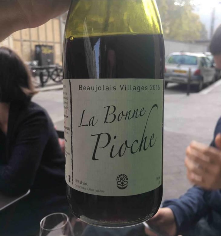 La Bonne Pioche - Michel Guignier - Michel Guignier 
