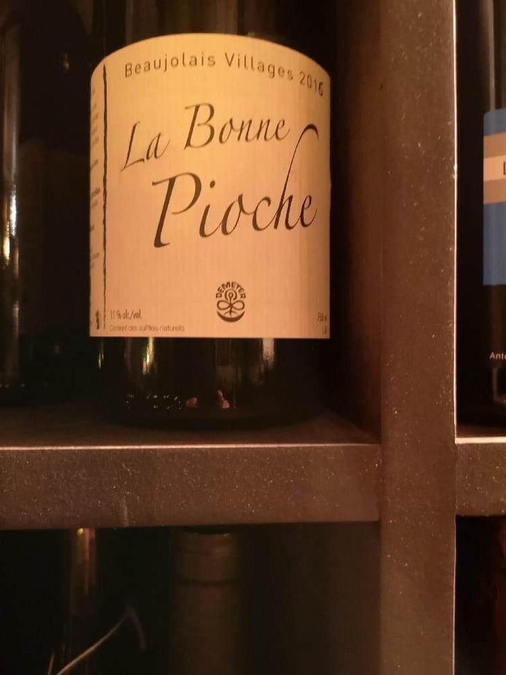 La Bonne Pioche - Michel Guignier - Michel Guignier 