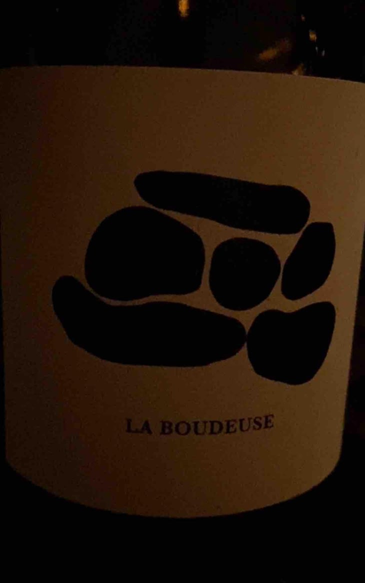 La boudeuse - Les Terres Bariolées - Claire Freist et Edoardo Veltroni -2022
