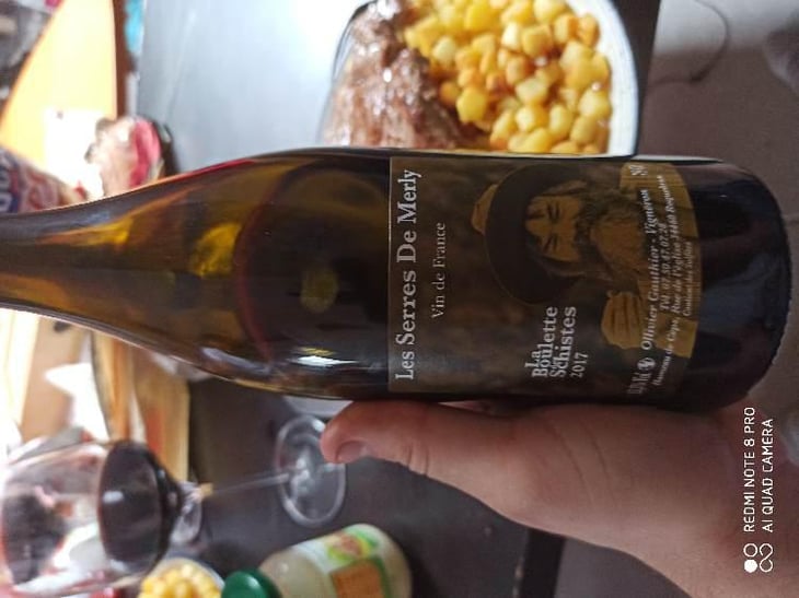 La Boulette de Schiste - Domaine Meïgoon - Saharnaz Ahangi et Gauthier Ollivier 