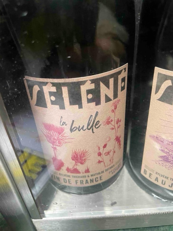 La Bulle - Séléné - Sylvère Trichard -2022