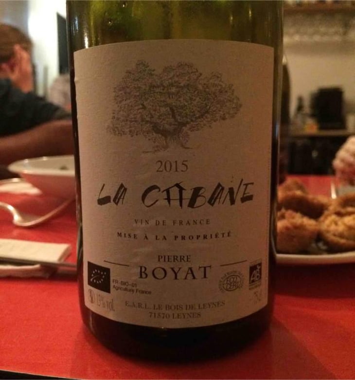 La Cabane - Pierre Boyat - Pierre Boyat 