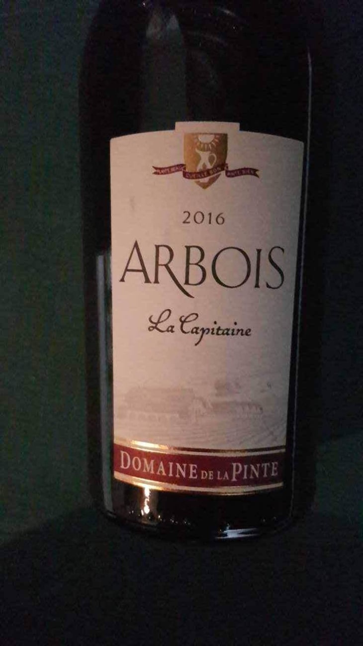 La Capitaine - Domaine de la Pinte - Pierre Martin 