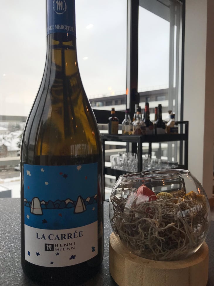 La Carrée - Domaine Milan - Emma, Théophile & Henri Milan 