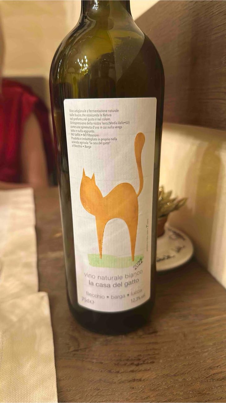 La casa del gatto - La Casa del gatto - Mario Riccardi -2022