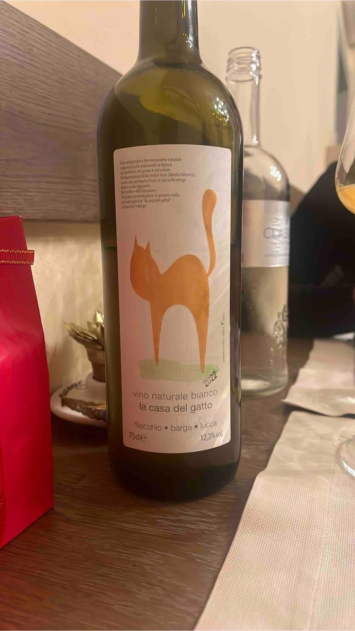 La casa del gatto - La Casa del gatto - Mario Riccardi -2022