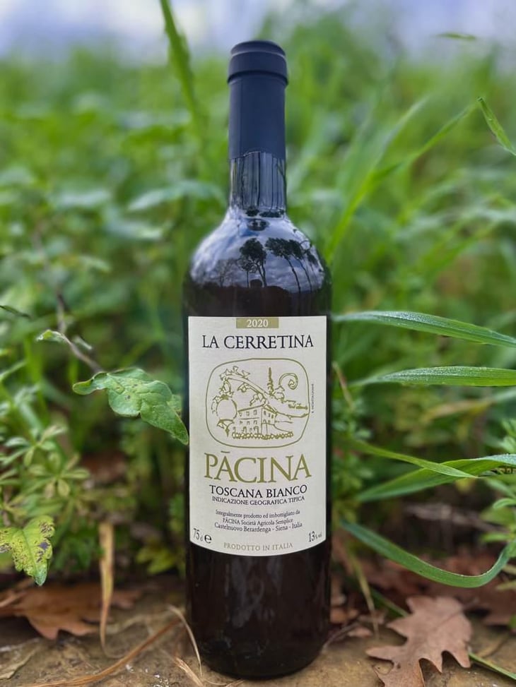 La Cerretina - Azienda Agricola Pācina - Giovanna Tiezzi, Stefano Borsa, Maria Borsa, Carlo Borsa, Roberto Maccari, Elisabeth Racine 