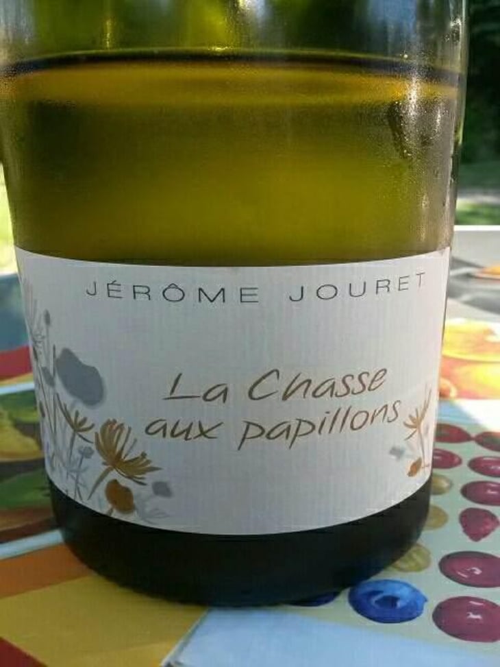 La Chasse Aux Papillons - Jérome Jouret - Jérôme Jouret 