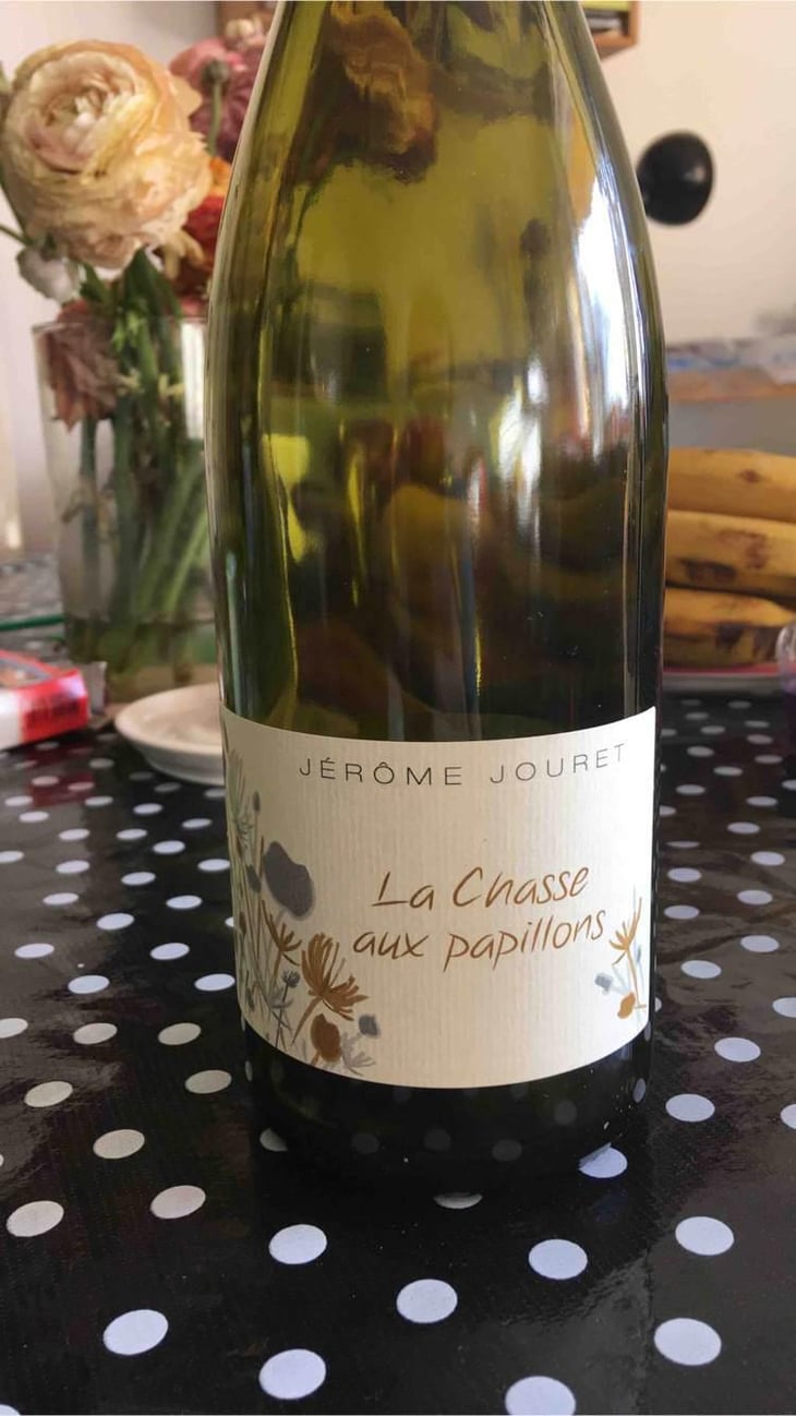 La Chasse Aux Papillons - Jérome Jouret - Jérôme Jouret 