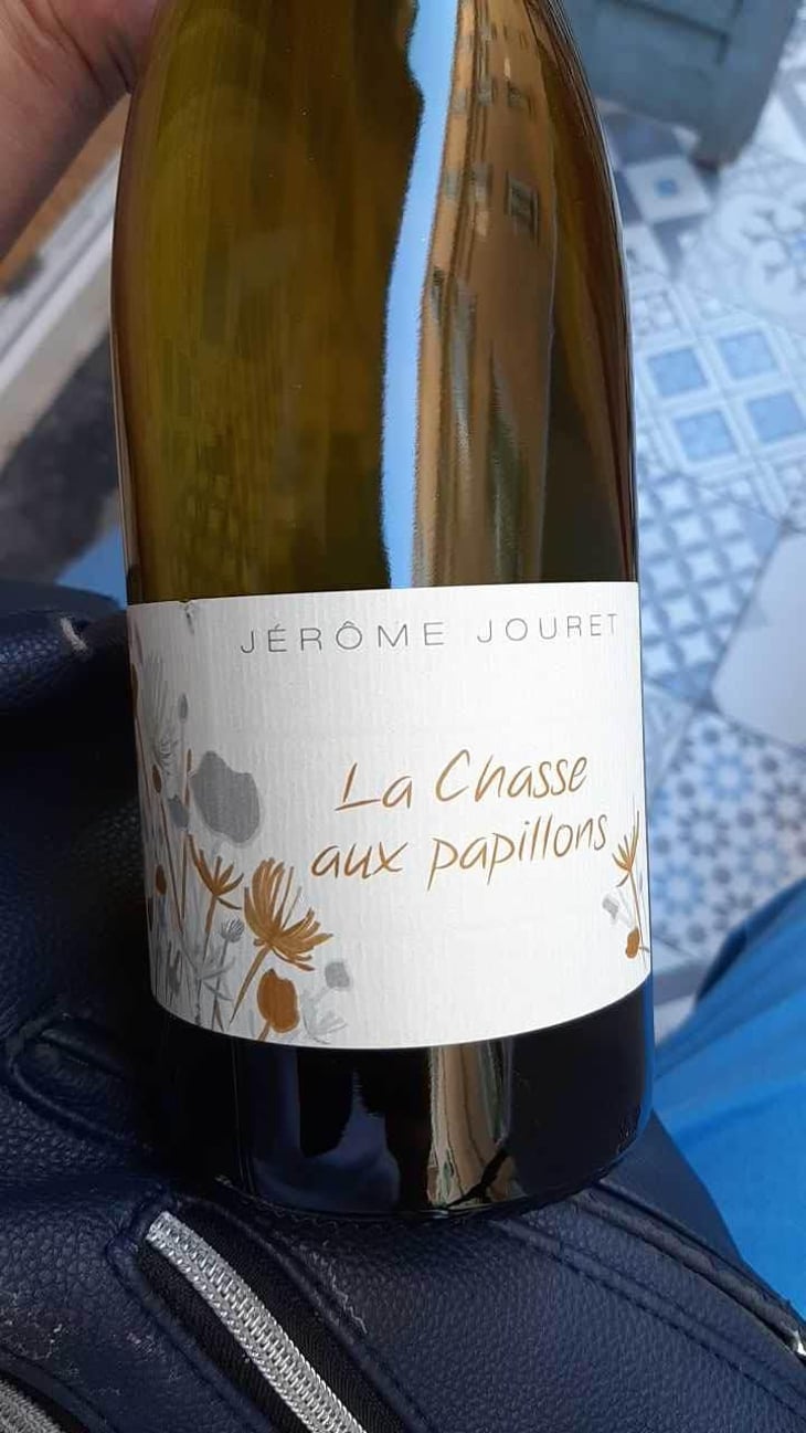 La Chasse Aux Papillons - Jérome Jouret - Jérôme Jouret 
