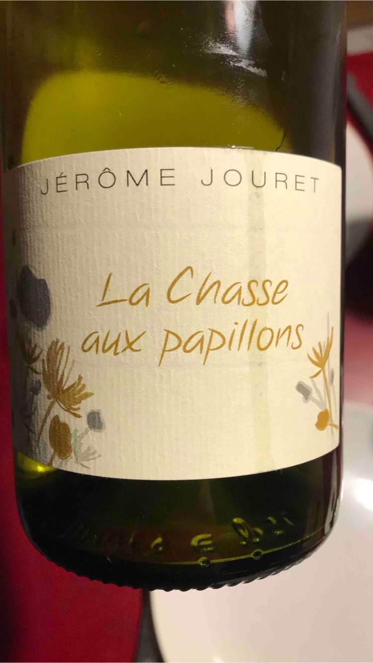 La Chasse Aux Papillons - Jérome Jouret - Jérôme Jouret 